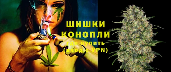 дживик Балахна